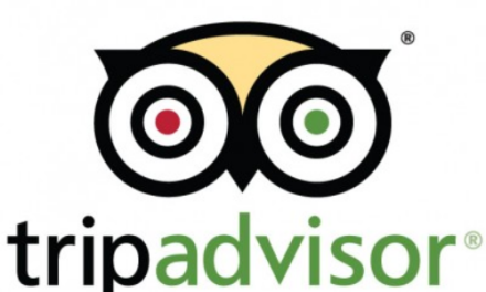 Rave Reviews of Sonesta from Enthusiastic TripAdvisor Guests
