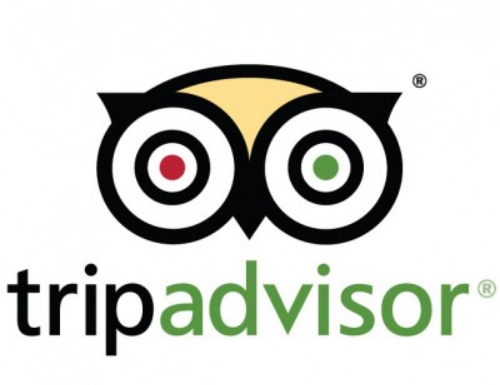 An Outstanding Experience at Every Property: Rave Reviews of Sonesta by TripAdvisor Guests