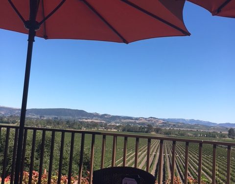 A Wine Country Day Trip from San Francisco