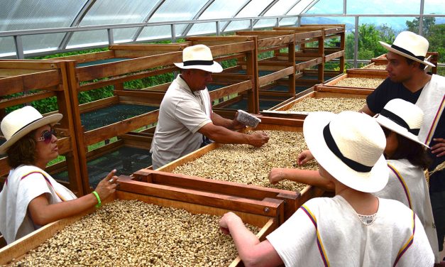 Visit the Coffee Triangle of Colombia
