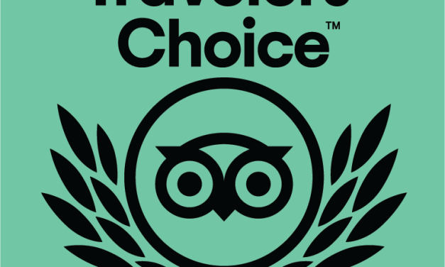 TripAdvisor Traveler’s Choice Awards – Sonesta ES Suites