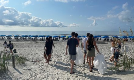 Hilton Head Beach Cleanup